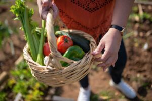 benefícios da jardinagem para idosos